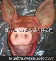 济南哪里批发带耳猪头 猪心 猪肠