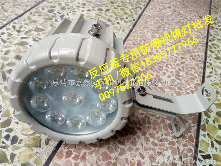 安全电压防爆照明灯,36V20W机械车间照明灯