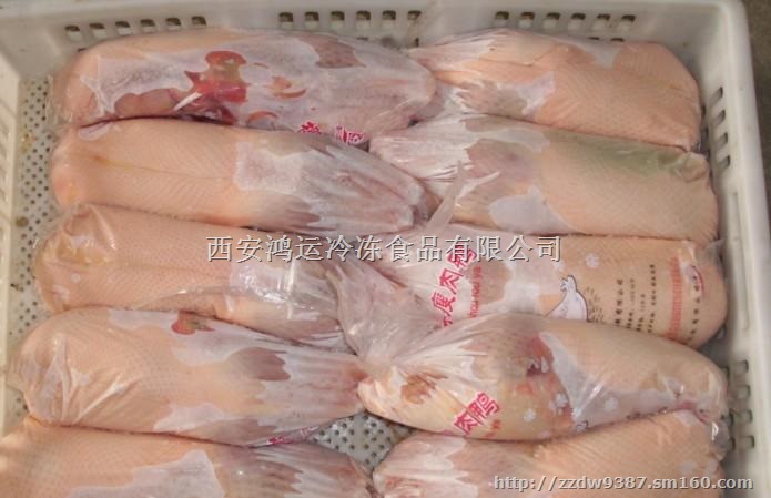 郑州、南阳冷冻白条鹅，鹅头 鹅胗批发