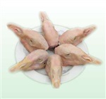 郑州、南阳冷冻白条鹅，鹅头 鹅胗批发