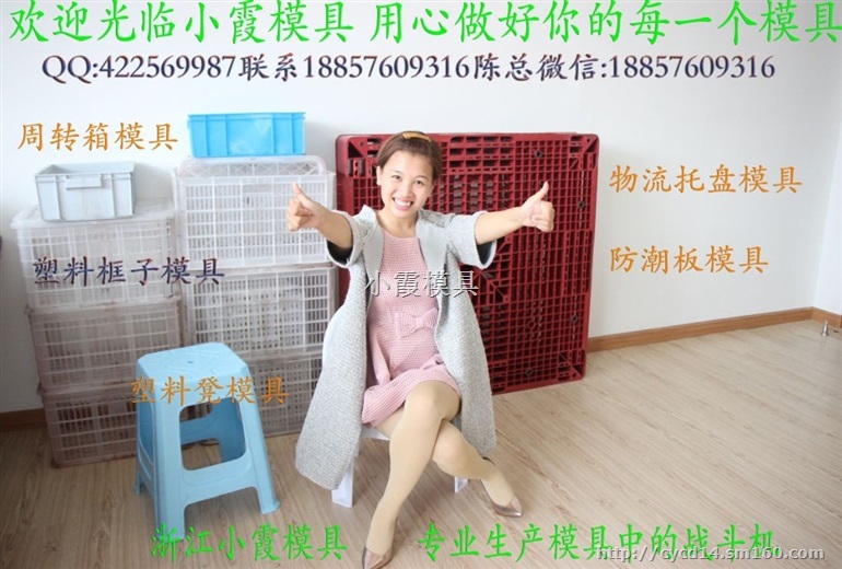 生产箩筐模具工厂/台州塑胶篮子模具价位，制胶箱模厂