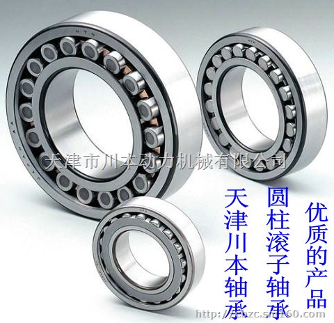 进口轴承F A G原装优质NUP303E.TVP2