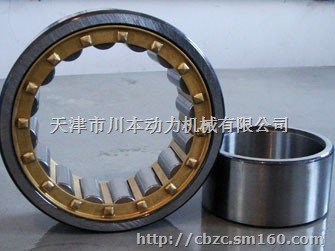 进口轴承F A G原装优质NUP303E.TVP2