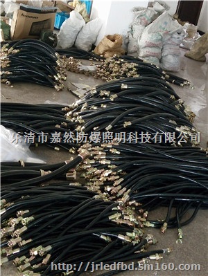 6分防爆挠性连接管,DN20不锈钢防爆活接头