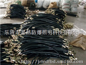 防爆密封接头挠性管NGd-20700
