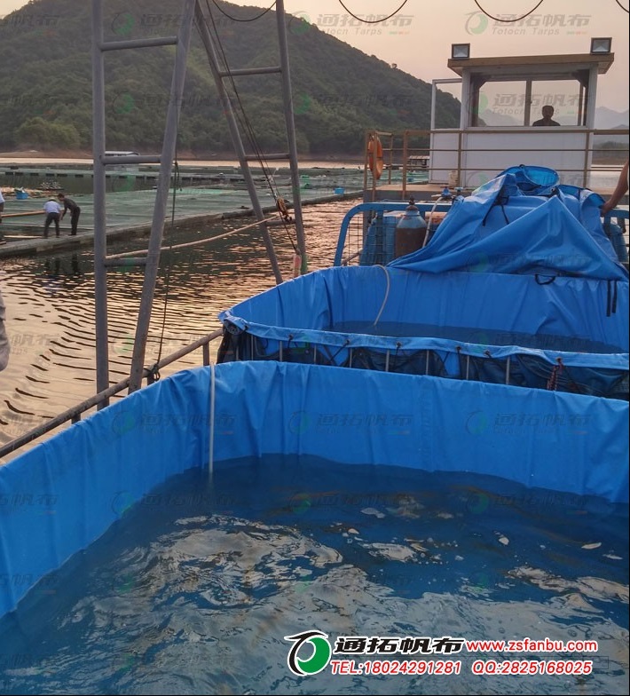 东莞PVC夹网布-夹网布游泳池定做-环保帆布鱼池
