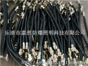 带不锈钢防爆密封接头挠性连接软管