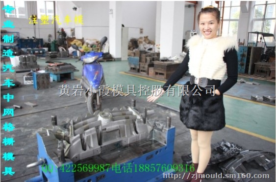 台州注塑模具 MF4注塑汽车模具厂 主机厂汽车模具