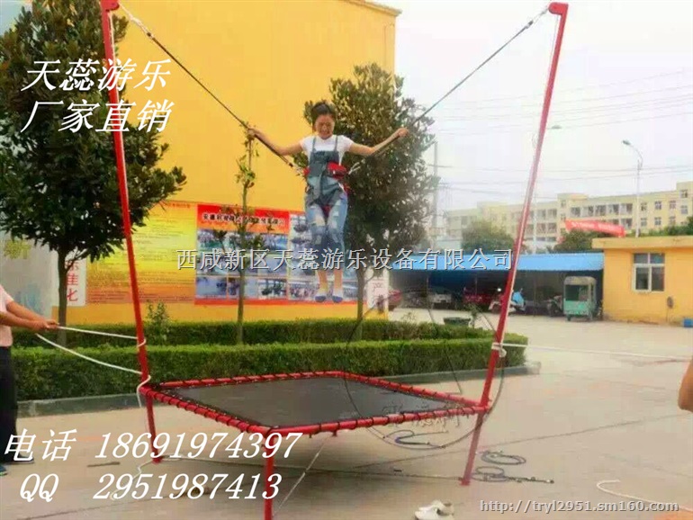 天蕊游乐 碰碰车 钢架蹦极 热卖中