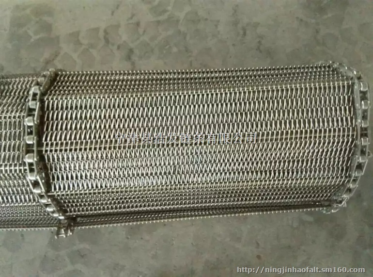 热销三排式链条网带，全国销量领先