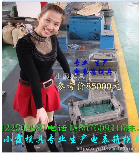 黄岩塑料模具 配电箱注射模具 17表塑料电表箱模具