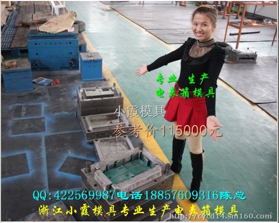 黄岩注塑模具厂 普通型插卡带盖电表箱塑胶模具厂家