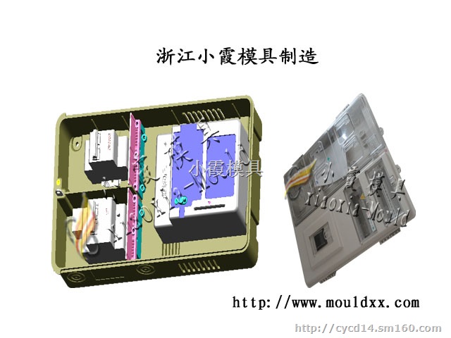 黄岩注塑模具厂 普通型插卡带盖电表箱塑胶模具厂家