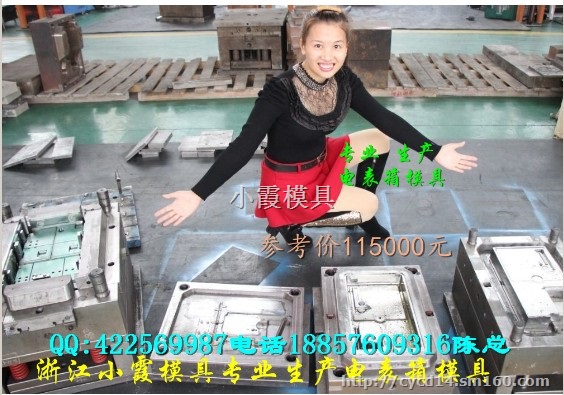 浙江注塑模具厂 配电柜注射模具 3表电表箱塑胶模具