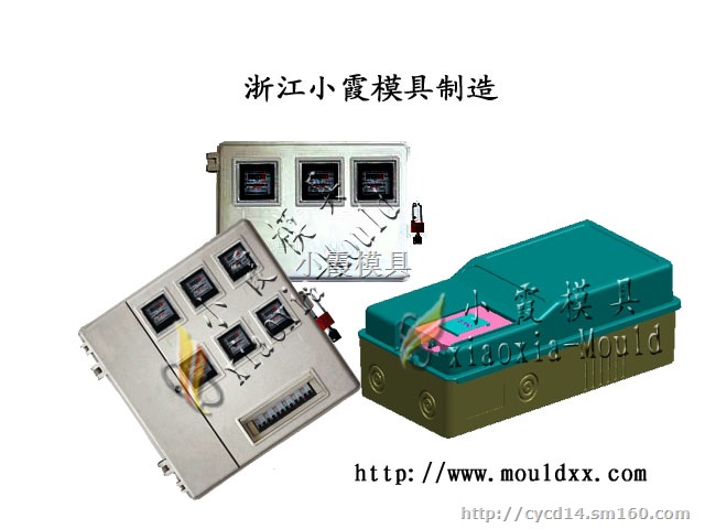 浙江注塑模具厂 配电柜注射模具 3表电表箱塑胶模具