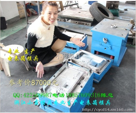 注塑模公司 表尾盖注射模具 塑料电表箱模具供应商
