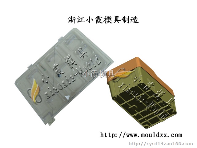 注塑模公司 表尾盖注射模具 塑料电表箱模具供应商