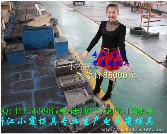 注塑模工厂 5表电表箱模具 透明表盖注射模具生产