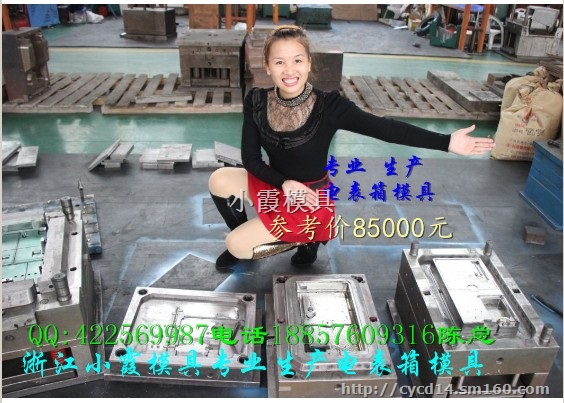 浙江17表电表箱模具 插卡式透明电表箱注射模具报价