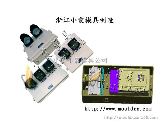 浙江插卡PC电表箱塑料模具 变压器防护罩模具