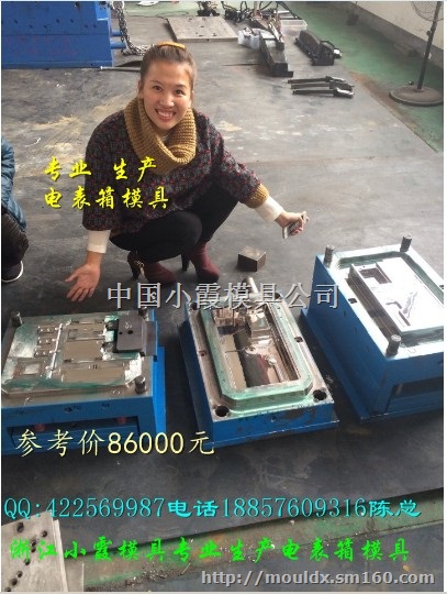 黄岩注射模具, 三厢电表箱模具 注射电表箱塑胶模具