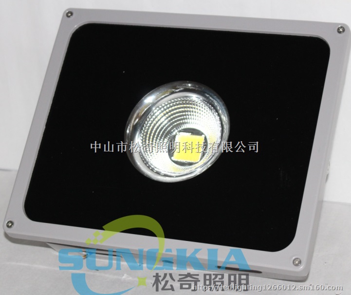 进口台湾晶元 50W聚光45°投光灯 室外照明用灯