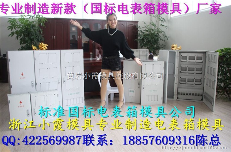 中国专做注射模具 三厢6表电表箱塑料模具价位