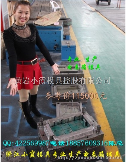 浙江塑料模具 10表塑料电表箱模具谁家做的多