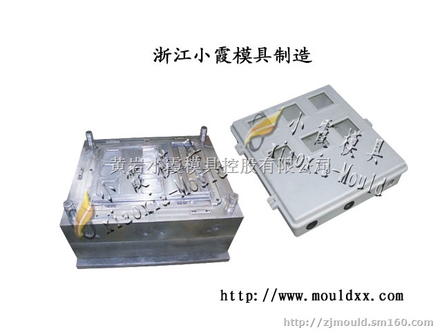 浙江塑料模具 10表塑料电表箱模具谁家做的多