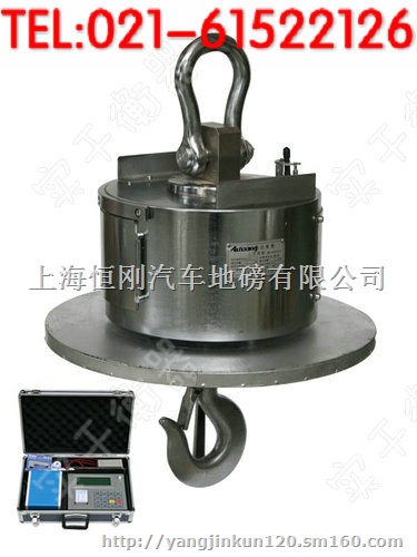 辛集市行车式电子吊称价格