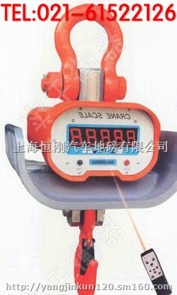 辛集市行车式电子吊称价格