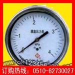 不锈钢膜盒压力表系列