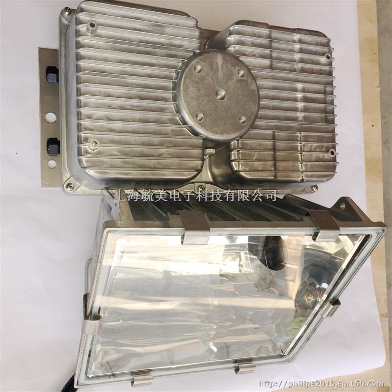 HNF901 SON-T 1000W飞利浦投射灯具