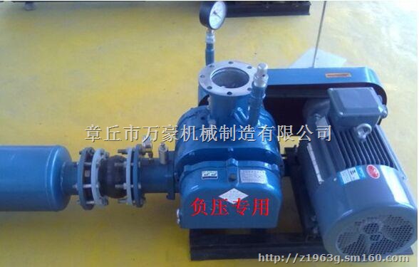 双优箱负压防爆水冷罗茨鼓风机