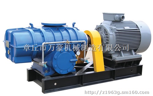 WHR200罗茨鼓风机出口