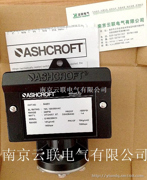 Ashcroft AR10 热电阻