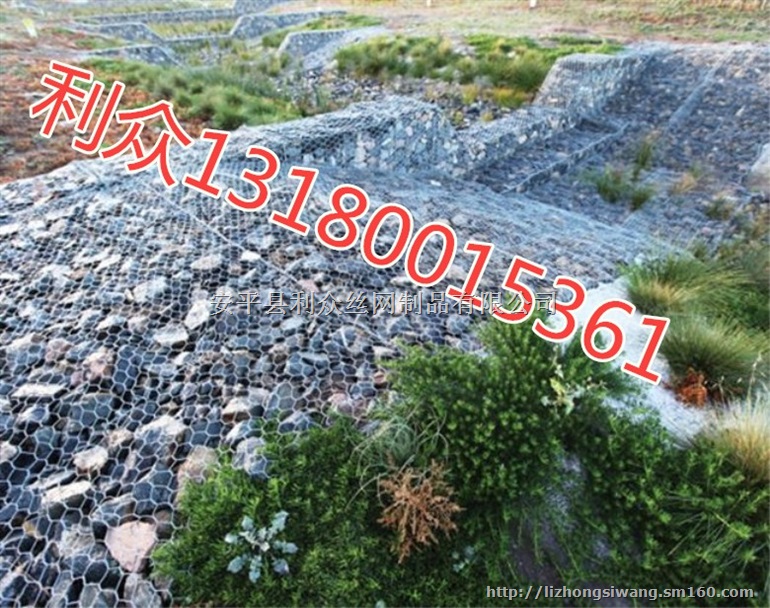 防腐蚀固滨笼护堤生态PVC固滨笼河坡防护