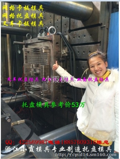台州模具公司 大型注射双层托盘模具厂家