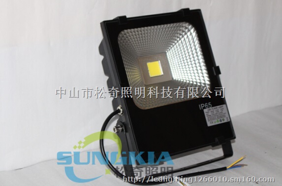 供应新款LED投光灯户外防水广告灯30W质保三年