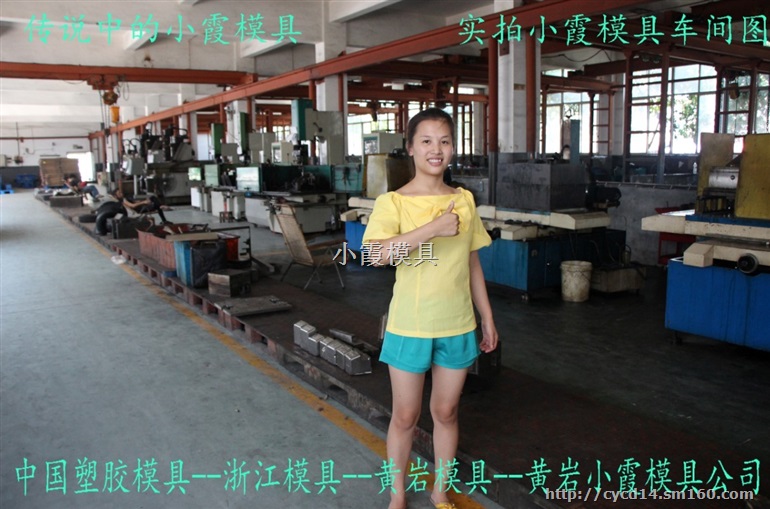 浙江模具城电话 汽车注塑模具 汽车塑胶内饰塑胶公司