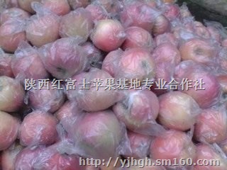 陕西红富士苹果*价格红富士苹果产地价格