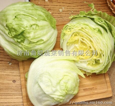 济南生菜批发市场行情