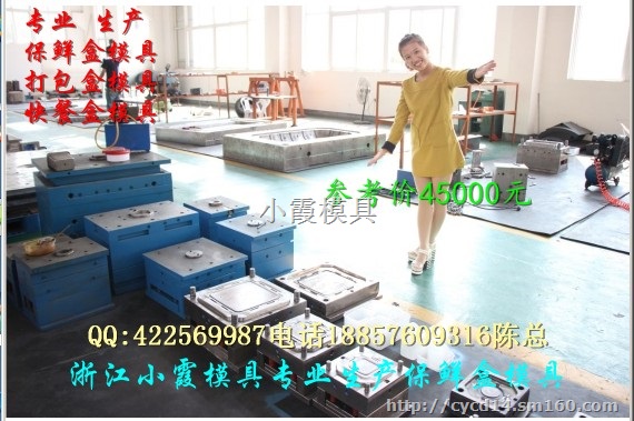 哪有注射箱模具公司