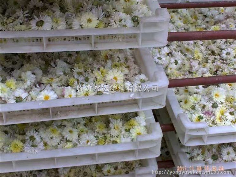 畅销云南大理高强度塑料烘干盘 昆明果脯烤晒盘 食品