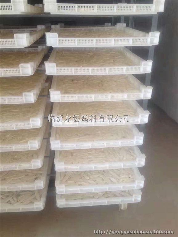 畅销云南大理高强度塑料烘干盘 昆明果脯烤晒盘 食品