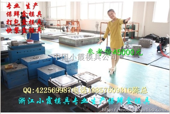 台州模具公司 3000ml快餐盒模具报价