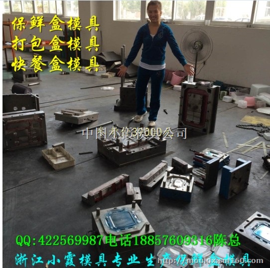 塑胶模具 2500ml快餐盒模具黄岩地址