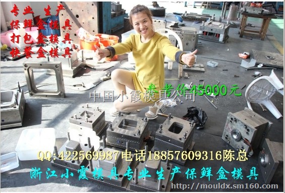 塑胶模具生产 550毫升打包盒模具制造