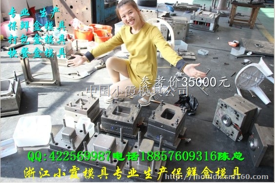 塑胶模具加工 500毫升打包盒模具小霞厂