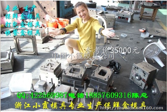 新款模具制造 5000毫升注塑便当盒模具多少钱